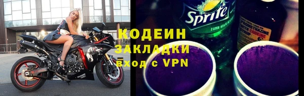 СК Инта