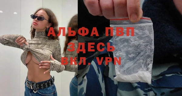 СК Инта