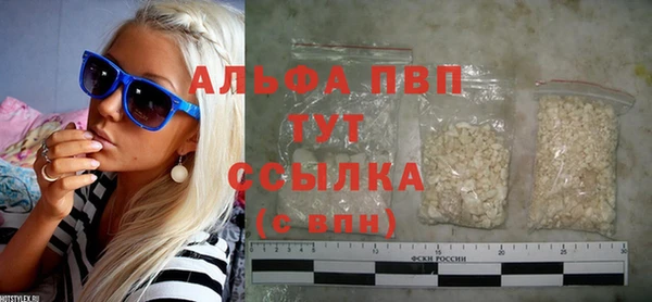 СК Инта