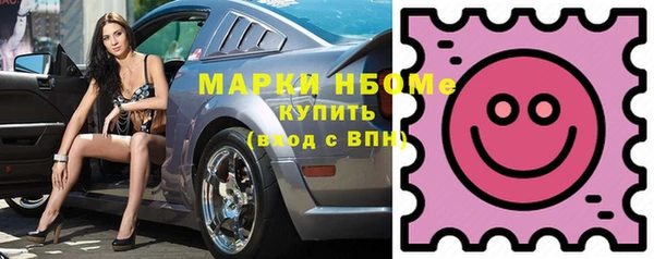 СК Инта