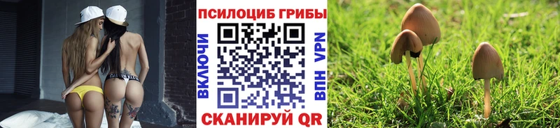 Галлюциногенные грибы Psilocybine cubensis  кракен сайт  маркетплейс формула  Златоуст 